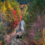 Logging equipment moves through a forest in central Maine. Credit: Preston Keres/USDA Forest Service