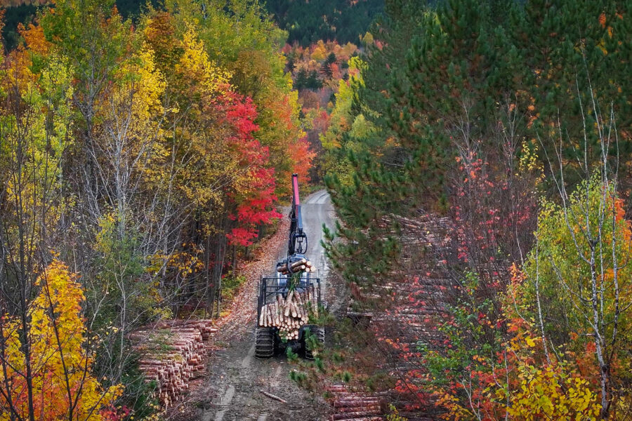Logging equipment moves through a forest in central Maine. Credit: Preston Keres/USDA Forest Service