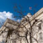 The Alabama Capitol building in Montgomery. Credit: Lee Hedgepeth/Inside Climate News