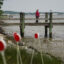 A woman stands on a pier jutting into the Chesapeake Bay near Elktonia Beach in Annapolis, Md., on May 23, 2023. Credit: Michael Robinson Chávez/The Washington Post via Getty Images