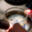 A researcher examines a sediment sample to identify microplastics in Long Beach, Calif. Credit: Leonard Ortiz/MediaNews Group/Orange County Register via Getty Images