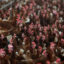 Chickens stand in a henhouse at Sunrise Farms on February 18, 2025 in Petaluma, California. Credit: Justin Sullivan via Getty Images