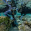 Researchers inspect heat-resilient corals in Tatakoto, French Polynesia. Credit: Alexis Rosenfeld/Getty Images