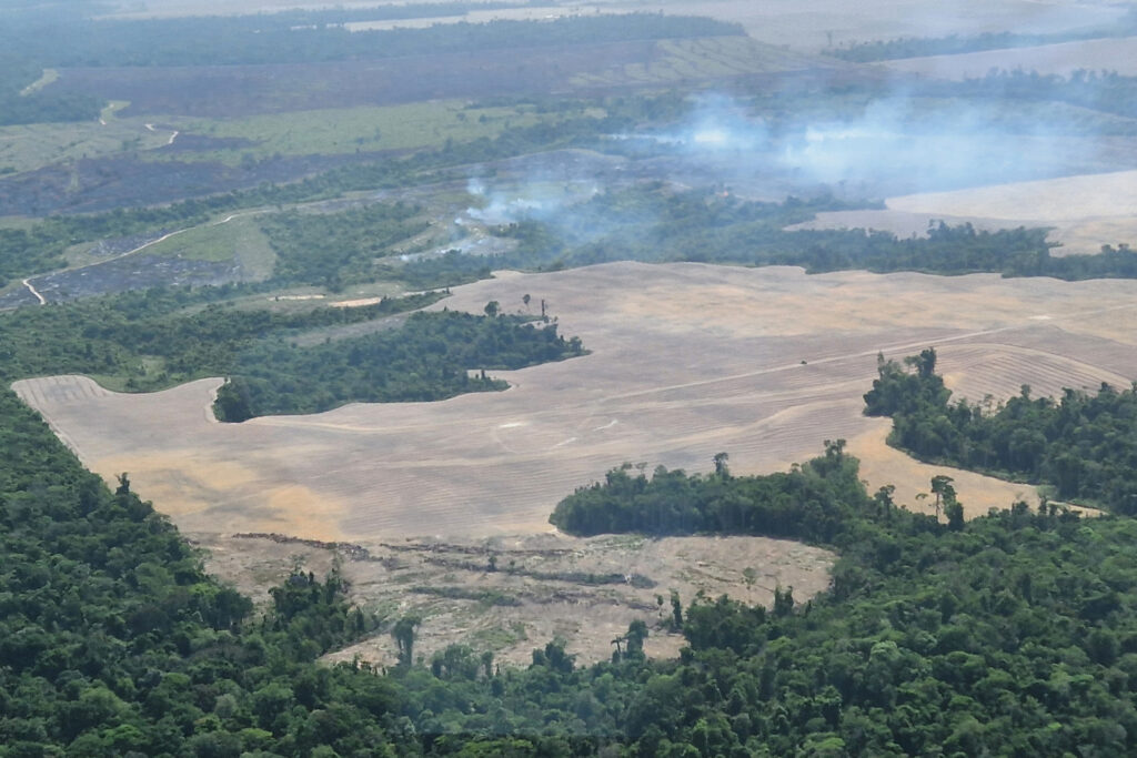 The World Bank Has Withdrawn a Major Loan to an Agribusiness Tied to Deforestation 