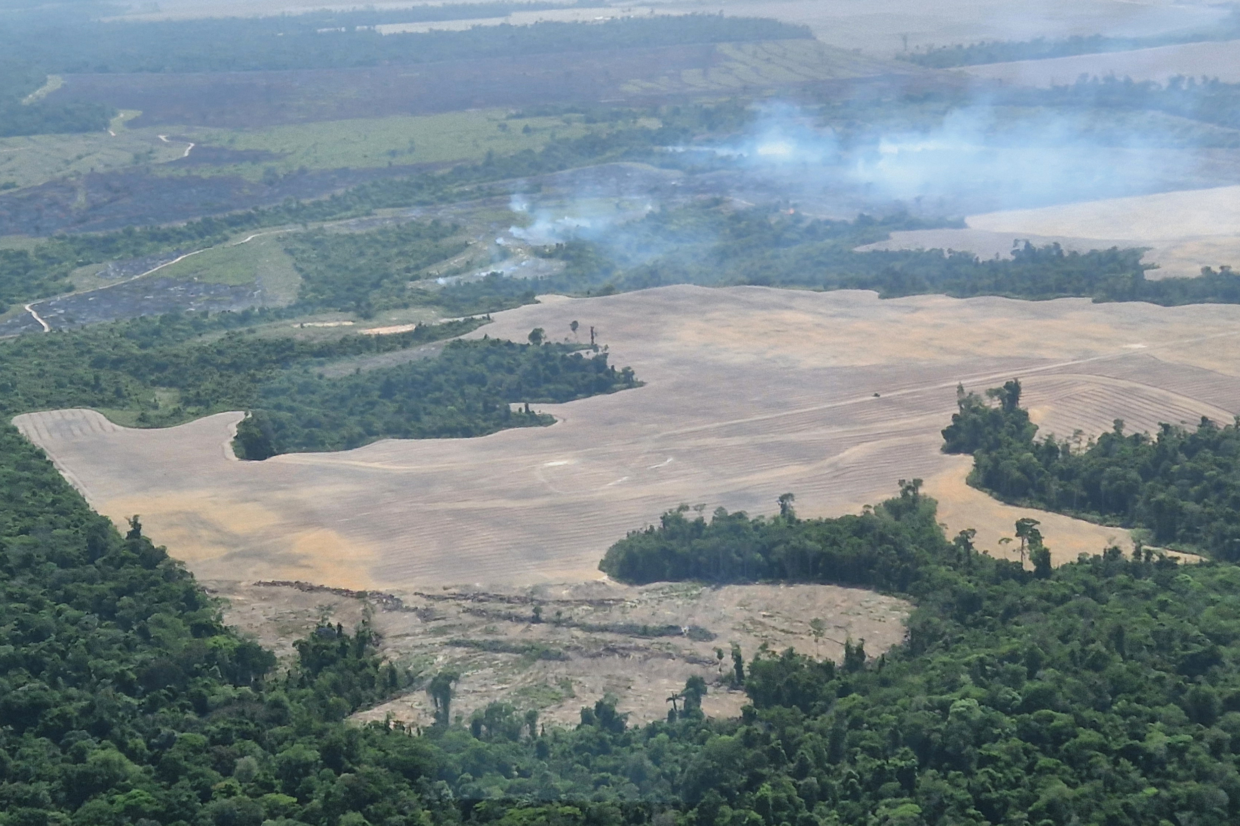 An aerial view of deforested Amazon land used for soy cultivation in Para, Brazil. Credit: Larissa Schwedes/picture alliance via Getty Images