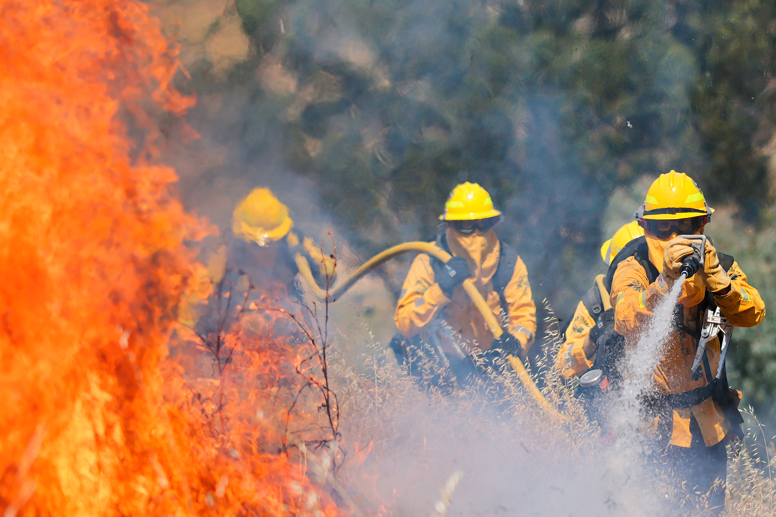 Marin County firefighters conduct a prescribed burn on June 17 in San Rafael, Calif. Credit: Heather Diehl/Getty Images