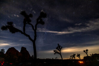 A view of the Milky Way during a meteor shower over Joshua Tree National Park on Aug. 13. Credit: Apu Gomes/Getty Images
