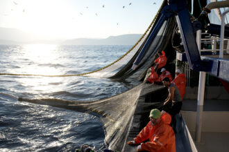 Aegean fishermen return to shore on Sept. 1 in Izmir, Türkiye. Credit: Mahmut Serdar Alakus/Anadolu via Getty Images