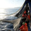 Aegean fishermen return to shore on Sept. 1 in Izmir, Türkiye. Credit: Mahmut Serdar Alakus/Anadolu via Getty Images