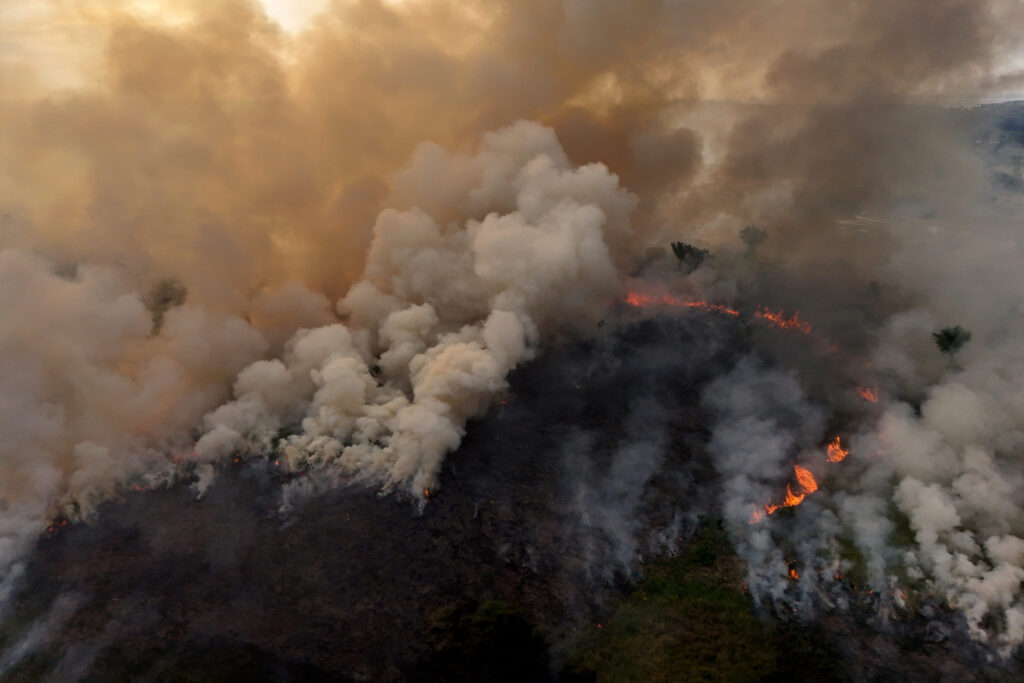 EnviroWireDaily — Compounding Climate Impacts Drive Tropical Forest Decline