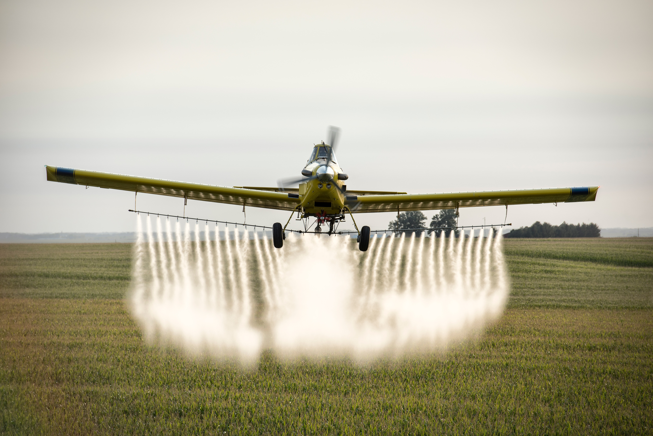 Atrazine is the second most used weed killer in the U.S., where 70 million pounds of the herbicide are deployed each year. Credit: Charles Ommanney/The Washington Post via Getty Images