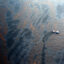 A boat works to collect oil from the Deepwater Horizon spill in the Gulf of Mexico on April 28, 2010, near New Orleans. Credit: Chris Graythen/Getty Images