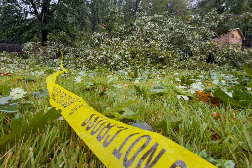 Local officials said a tree fell on Devolin “Bobo” Webster’s Birmingham home just after 5 a.m. on Saturday. Credit: Lee Hedgepeth/Inside Climate News