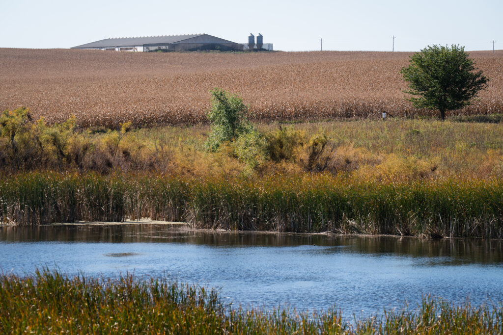 In 2015, New Fashion Pork built a 4,400-head hog confinement half a mile from Garrison’s 300 acres of restored prairie, oak savanna and wetlands.