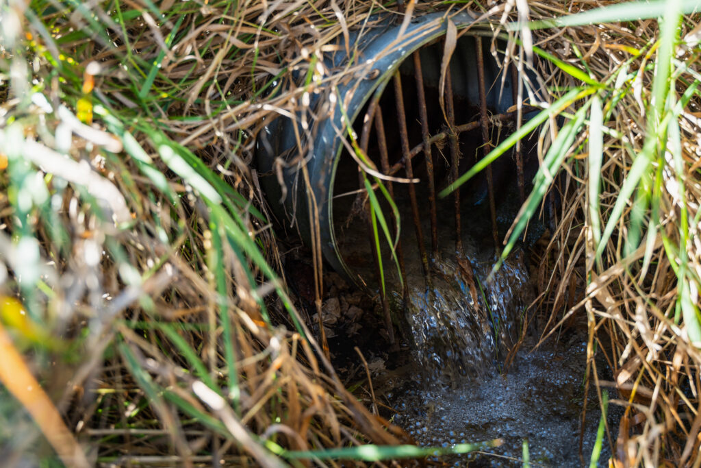 A tile outlet where water drains into the stream on Gordon Garrison’s property from neighboring fields.