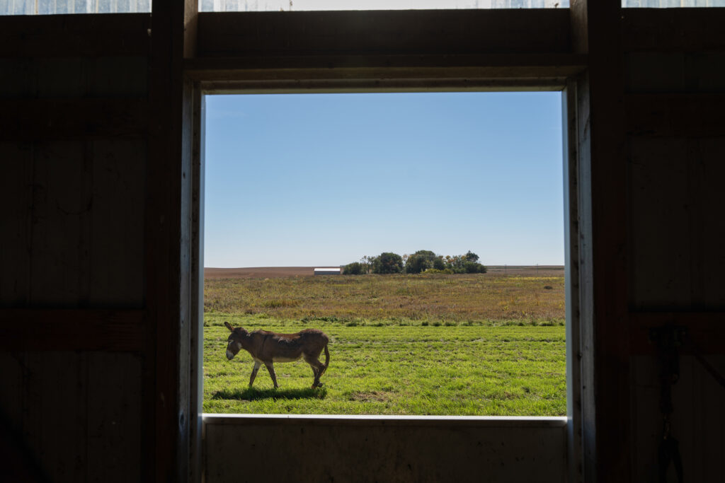 Garrison has spent decades gradually restoring his 300-acre property to prairie and “pothole” wetlands native to northern Iowa.
