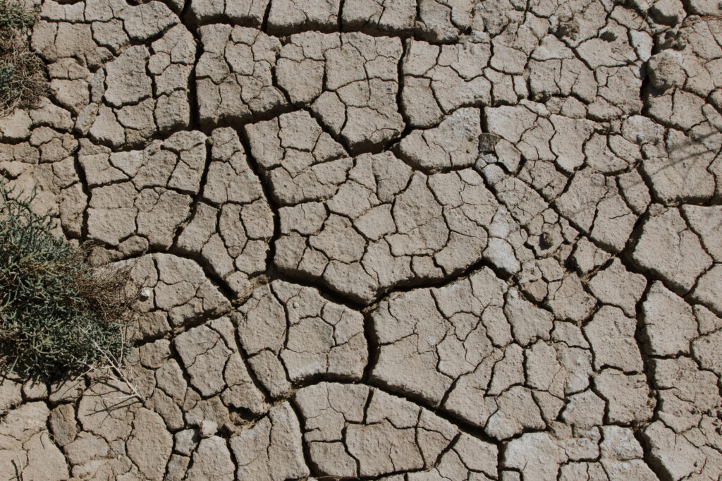 Cracked earth marks the exposed lakebed near the edge of the shrinking Salton Sea in California’s Imperial Valley. Credit: Carla Samon Ros/CJI