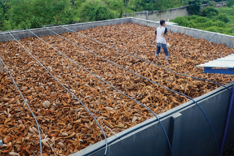 A bio-filter at a fishmeal plant in Indonesia, designed and installed by A & S Thai Works, uses coconut husks as its “bio media,” where naturally occurring microbes break down pollutants and odor molecules in exhaust gases. Credit: A&S Thai Works