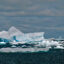 A rapid decline of Antarctic sea ice extent since 2014 may have started a wave of climate impacts spreading toward the equator, new research shows. Credit: Bob Berwyn/Inside Climate News